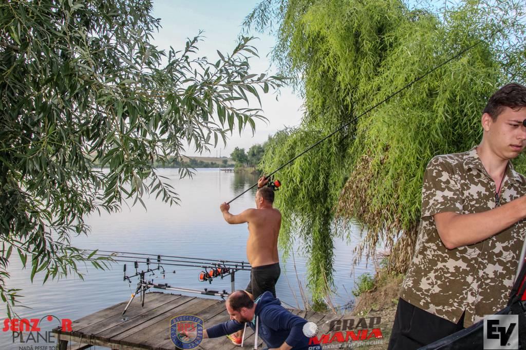 Chita 2 - ev-160zpscwcxprke.jpg